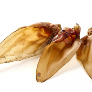 Mastication