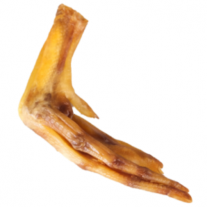 Patte de canard