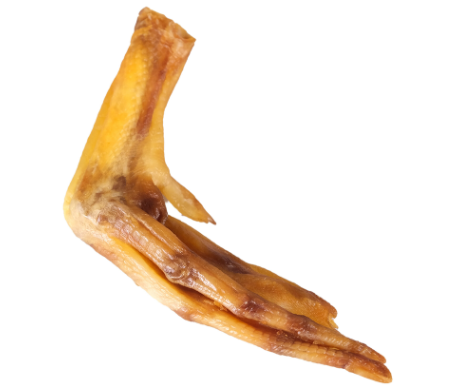 Patte de canard