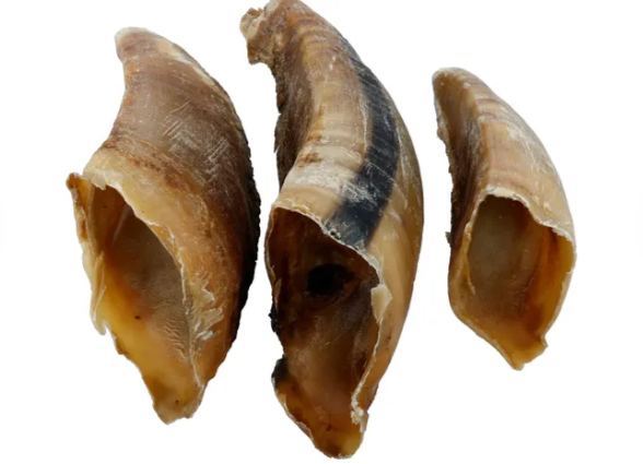 Sabot de vache XL