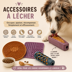 Accessoires à lécher
