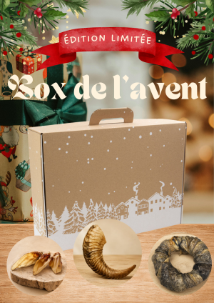 Calendrier de l'avent